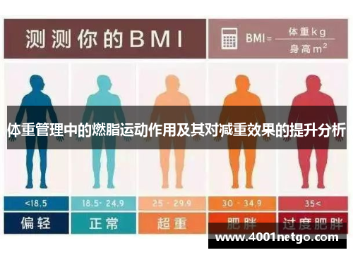 体重管理中的燃脂运动作用及其对减重效果的提升分析