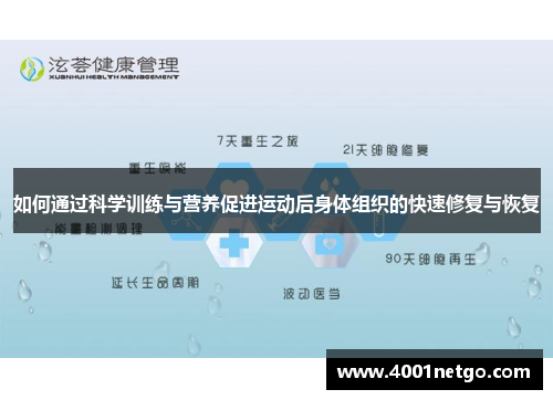 如何通过科学训练与营养促进运动后身体组织的快速修复与恢复 如何通过科学训练与营养促进运动后身体组织的快速修复与恢复