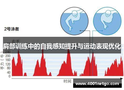 肩部训练中的自我感知提升与运动表现优化